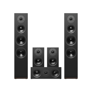 惠威Dynamic家庭影院5.0音响高端套装落地立体声电视客厅环绕音箱
