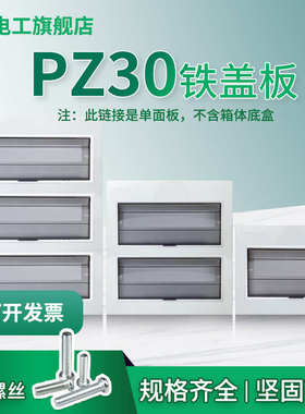加大PZ30配电箱白色面板铁盖板箱盖子10/12/15/18/20回路单双排