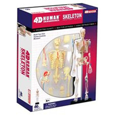 人体全身骨骼骨架模型骷髅玩具