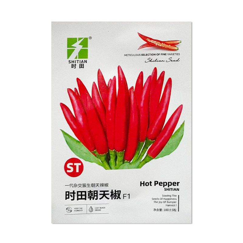 时田朝天椒辣椒种子小米椒