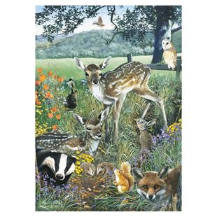 现货包邮 英国Otter House进口益智拼图75836草丛朋友1000片长形