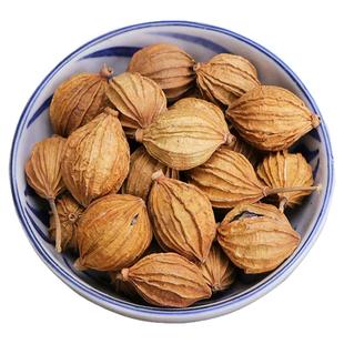 精品香砂仁川砂仁大砂仁黄金沙仁土砂仁香料调料大全散装批发大料