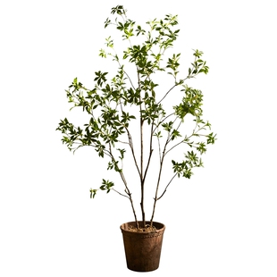 掬涵仿真绿植吊钟盆栽仿生植物马醉木室内造景装饰客厅假树落地