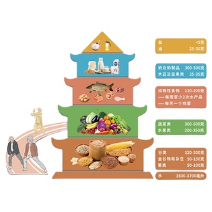 养老院文化墙贴氛围布置敬老院活动中心平衡膳食宝塔背景装饰挂画