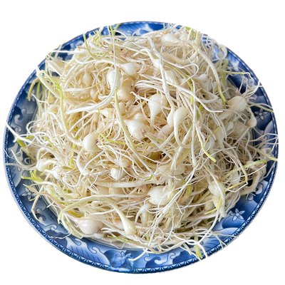 东北新鲜山野菜小根蒜500g