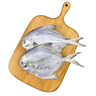 鲳鱼4斤银鲳鱼舟山东海白鲳鱼平鱼新鲜冷冻昌鱼深海鲜活海鲜水产