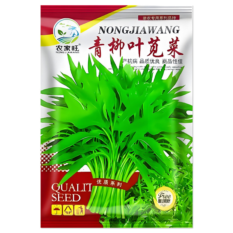 苋菜种子四季蔬菜种子