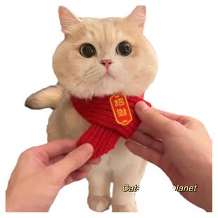 宠物新年围巾猫咪狗狗过年红色国围脖中国风秋冬保暖毛线针织喜庆