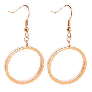 挂钩秋冬耳环女吊坠港风高级感圈圈钛钢耳勾彩金圆环耳饰2025新款