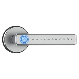 室内木门指纹锁办公室密码门锁家用卧室房间门把手分体智能电子锁