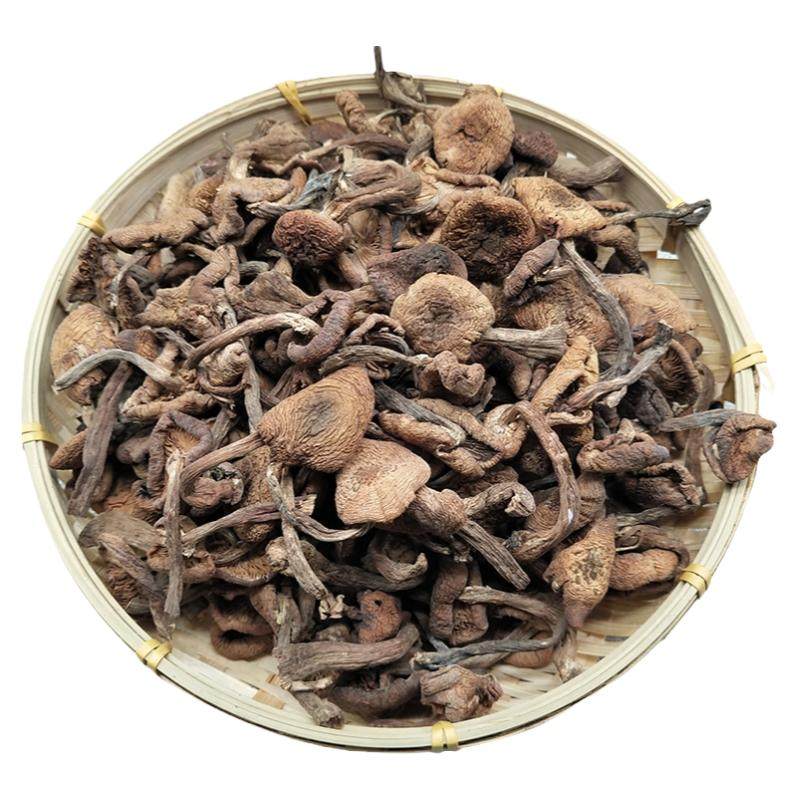 榛蘑东北野生榛蘑干货500g榛蘑丁小鸡炖蘑菇新货无根野生蘑菇