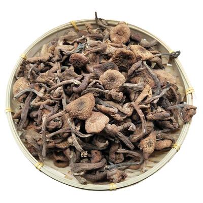 黑龙江野生榛蘑榛蘑纯野生香菇类