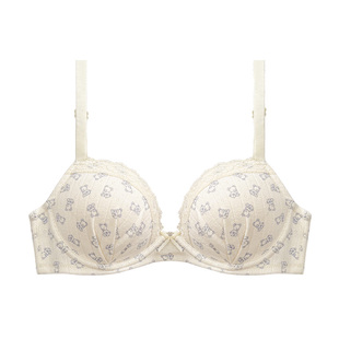 【BM风小熊】内衣女小胸聚拢显大文胸套装无钢圈女士胸罩2026新款