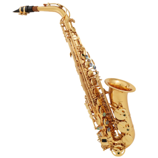 斗牛士萨克斯管乐器初学者入门成人专业萨克斯风降E调中音沙克斯