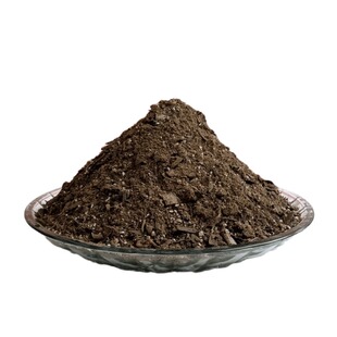 杉树澳洲杉营养花土客厅阳台盆景栽种植物专用翻换疏松透气种植土