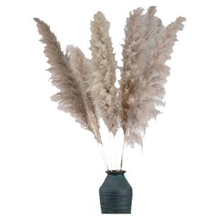 芦苇干花网红花束真花客厅摆设室内落地装饰摆件商场造景大穗蒲苇