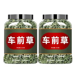 猫爪草车前草中药袋泡茶夏枯草散结茶新鲜干货非干野生中药材泡水