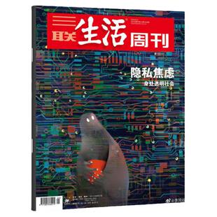 爱情/年味】三联生活周刊杂志2026年8/7/6/5/4/3/2/1期/2025年52/51/50/49/48期/全/半年订阅/短剧 时事人文热点