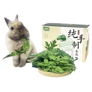 小宠兔子健康零食木瓜叶烘干木瓜树叶龙猫荷兰猪兔兔