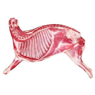 羊肉新鲜散养乳羔羊10斤羊排羊腿整只宁夏盐池滩手抓年货礼盒