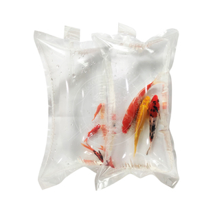 水族打包袋活鱼观赏鱼海参包装袋运输氧气袋装鱼的袋子加厚