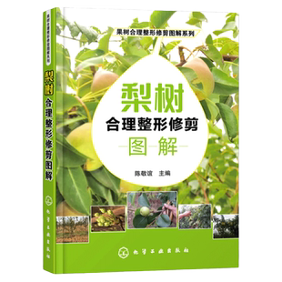 梨树合理整形修剪图解果树种植栽培技术书梨树病虫害防治与诊断用药技术种植书籍大全果树修剪与管理农业书籍果树嫁接技术图解书