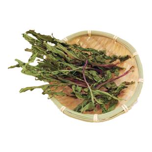 蒲公英茶 大兴安岭野生蒲公英叶整颗 婆婆丁叶 250g包邮