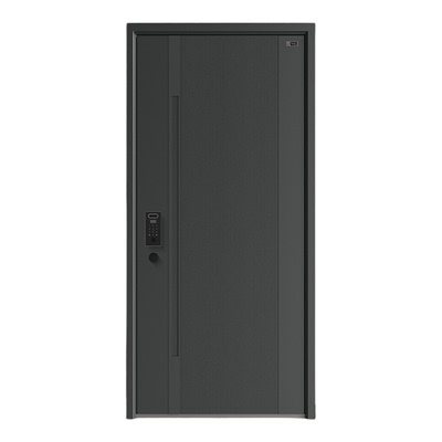 2.0厚度锌合金自动开门智能门