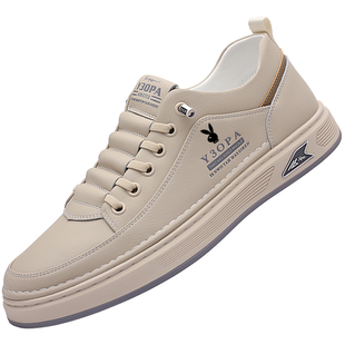 板鞋男鞋真皮软底2025冬季新款男士鞋子休闲鞋潮滑板小白鞋运动鞋