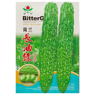 荷兰长油绿苦瓜种子长条棒型35-40厘米蔬菜种籽南京绿丰园5克15粒