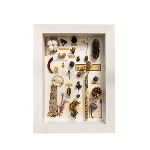 干花相框diy挂墙手工保存动植物标本立体中空2.5cm收纳玫瑰花摆台