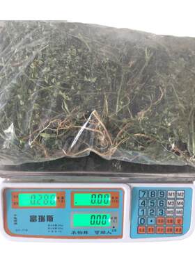 新纯野生整株荠菜带花根茎入药