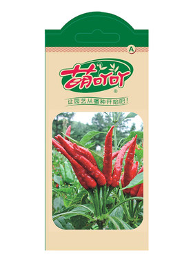 辣椒种子四季播种易活