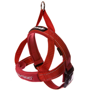 澳洲EZYDOG遛狗狗快套胸背舒适中小型大型犬牵引绳宠物项圈胸背带