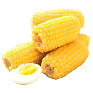 大棒黄糯家用早餐软糯玉米