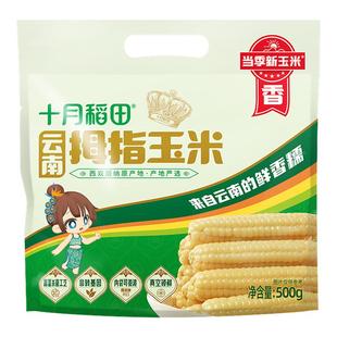 十月稻田云南拇指玉米500g非转基因新鲜玉米甜糯软糯真