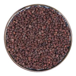 同仁堂马兰子马蔺子马楝子马莲蠡实荔实500g克马莲子马帚子中药材