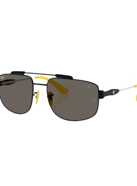 RayBan雷朋方形金属太阳镜