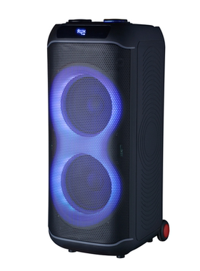 100W1000W峰值DSP芯片双无线麦
