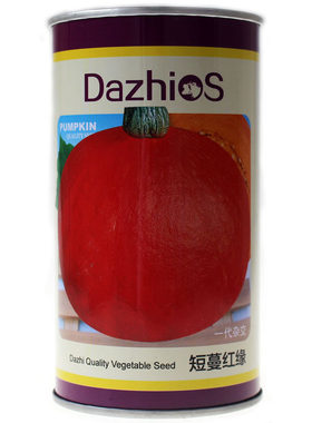 板栗甜蜜蜜橙红色口感好粉面种子