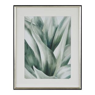 HarborHouse美式墙面轻奢客厅挂画沙发背景墙简约植物装饰画Agave