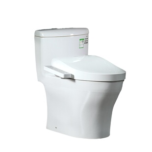 TOTO智能马桶CW977EB+TCF3F460/260/960/8764卫洗丽坐便器(02)