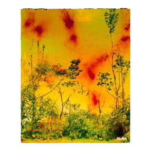 预售60天 沃尔夫冈提尔曼斯 Wolfgang Tillmans: To Look Without Fear 英文原版进口摄影集 艺术摄影 华源时空 MOMA