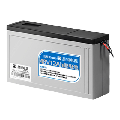 星恒48v12电动车锂电池