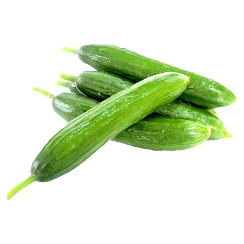 新鲜小黄瓜荷兰黄瓜迷你