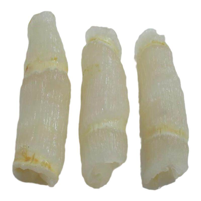 高质量花胶新鲜现水发红鱼肚