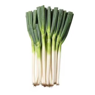 正宗铁杆蔬菜大葱新鲜现挖实惠脆甜微辣农家健康家庭必备新鲜包邮