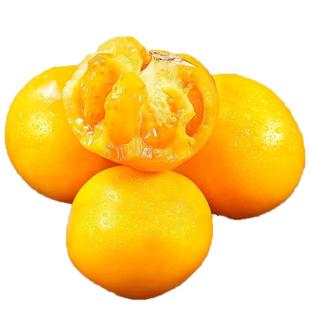 【老品种裂口】内蒙古五原黄柿子自然熟黄色西红柿番茄沙瓤新鲜