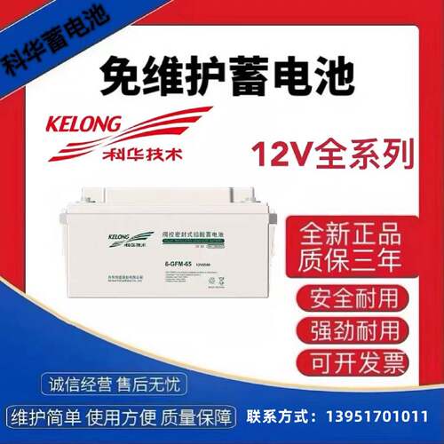 KELONG科华技术UPS铅酸蓄电池6GFM12V100AH65AH38AH24AH200AH