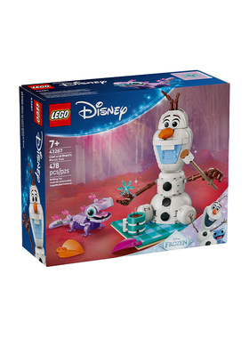 【自营】LEGO乐高迪士尼系列43287雪宝和布鲁尼野餐乐趣玩具积木